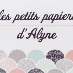 LES PETITS PAPIERS D'ALYNE
